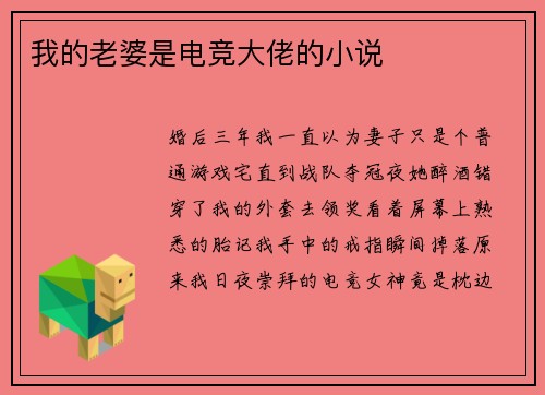 我的老婆是电竞大佬的小说